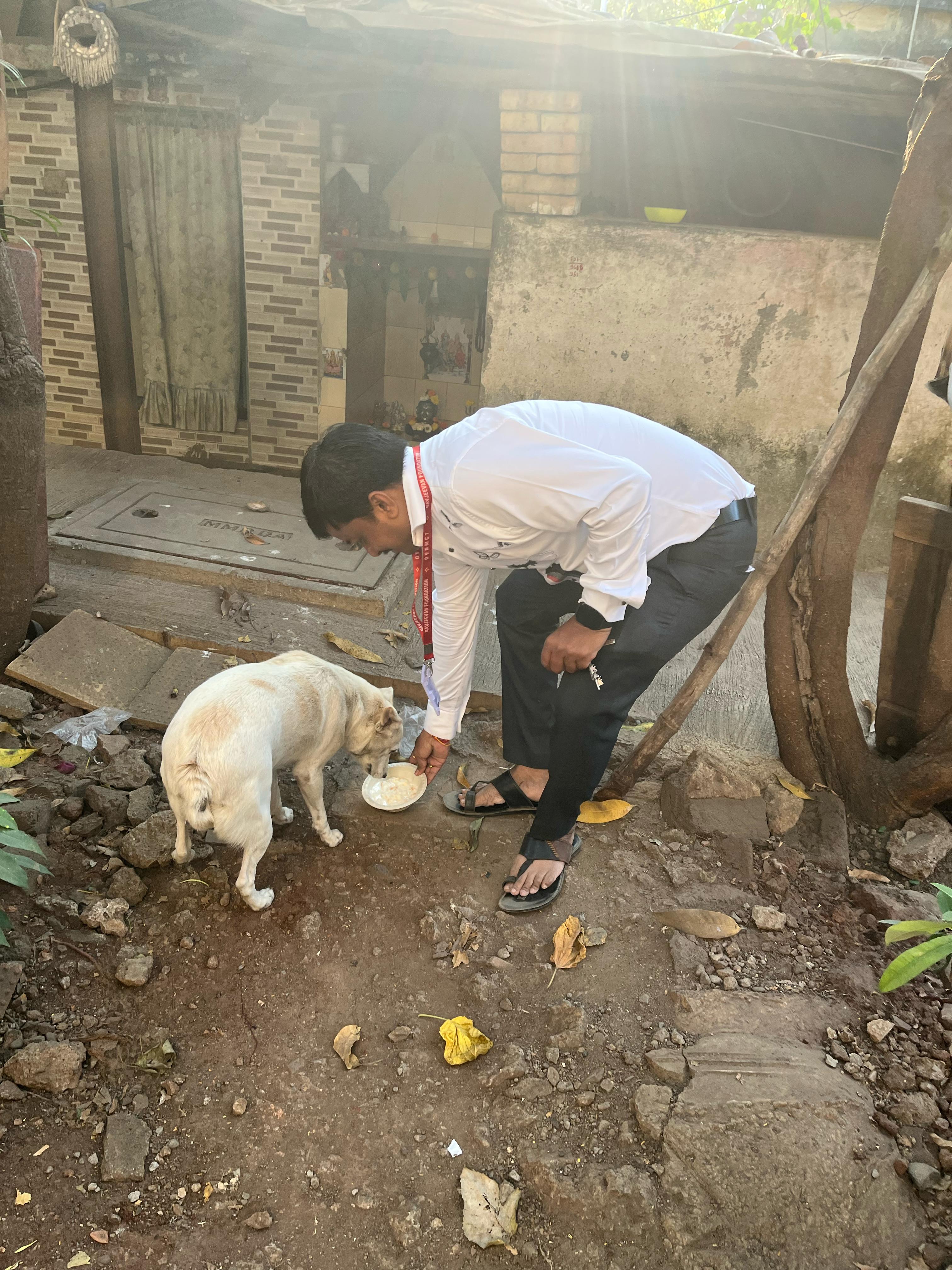How You Can Help Image